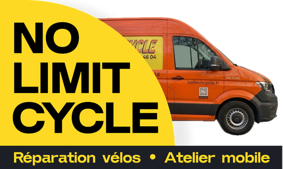 No Limit Cycle