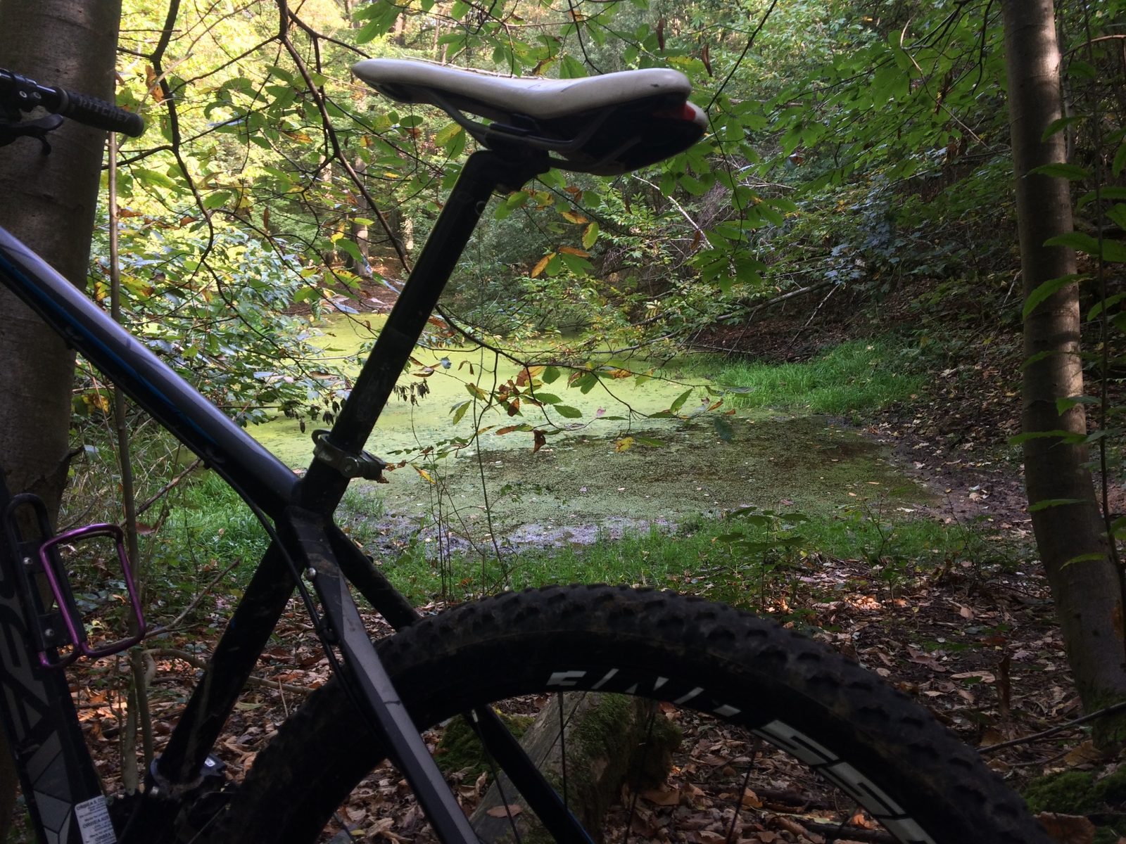 Vtt en Forêt de Verrières le Buisson