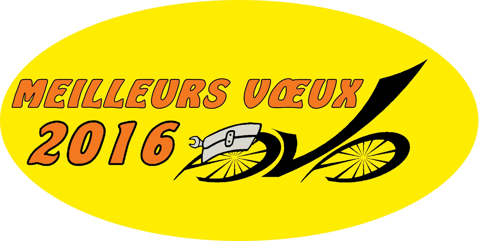 Bonne année 2016