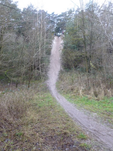 VTT-Rando-Hivernale-Larchant-6