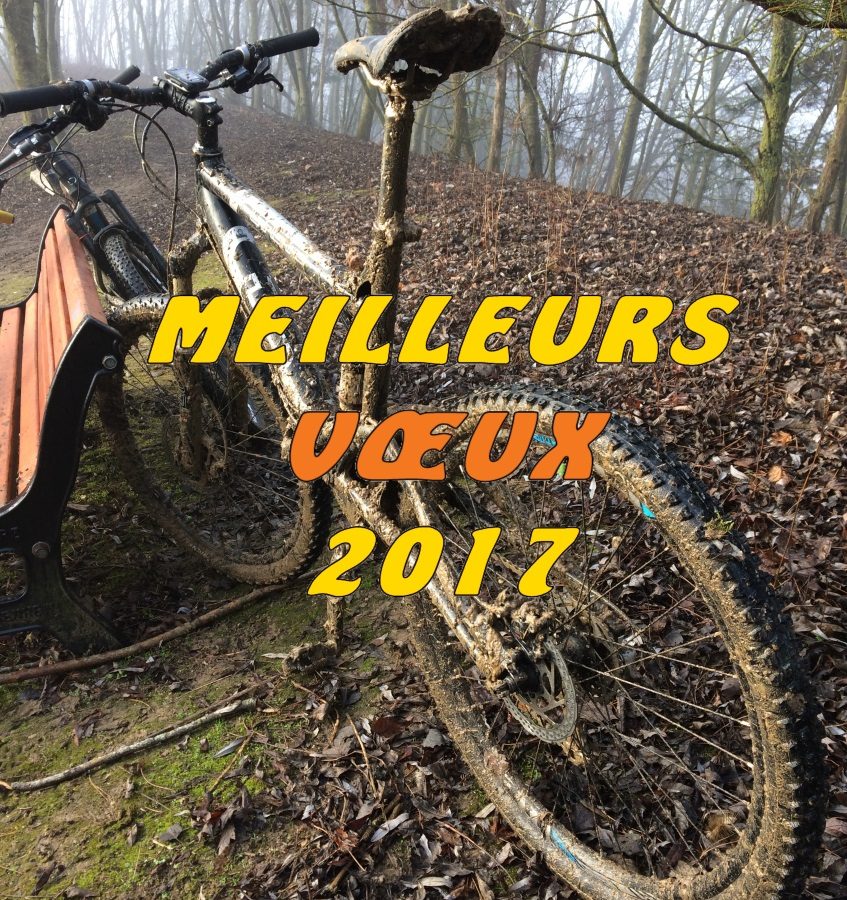 bonne-annee-2017