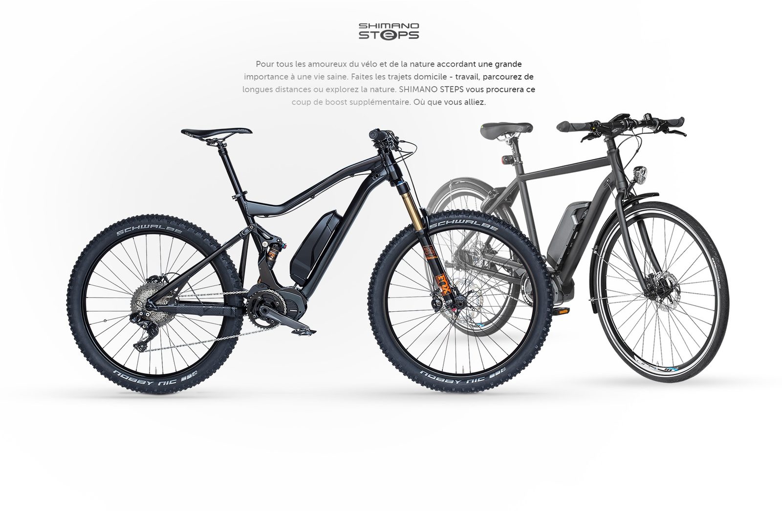 SHIMANO STEPS-Bike